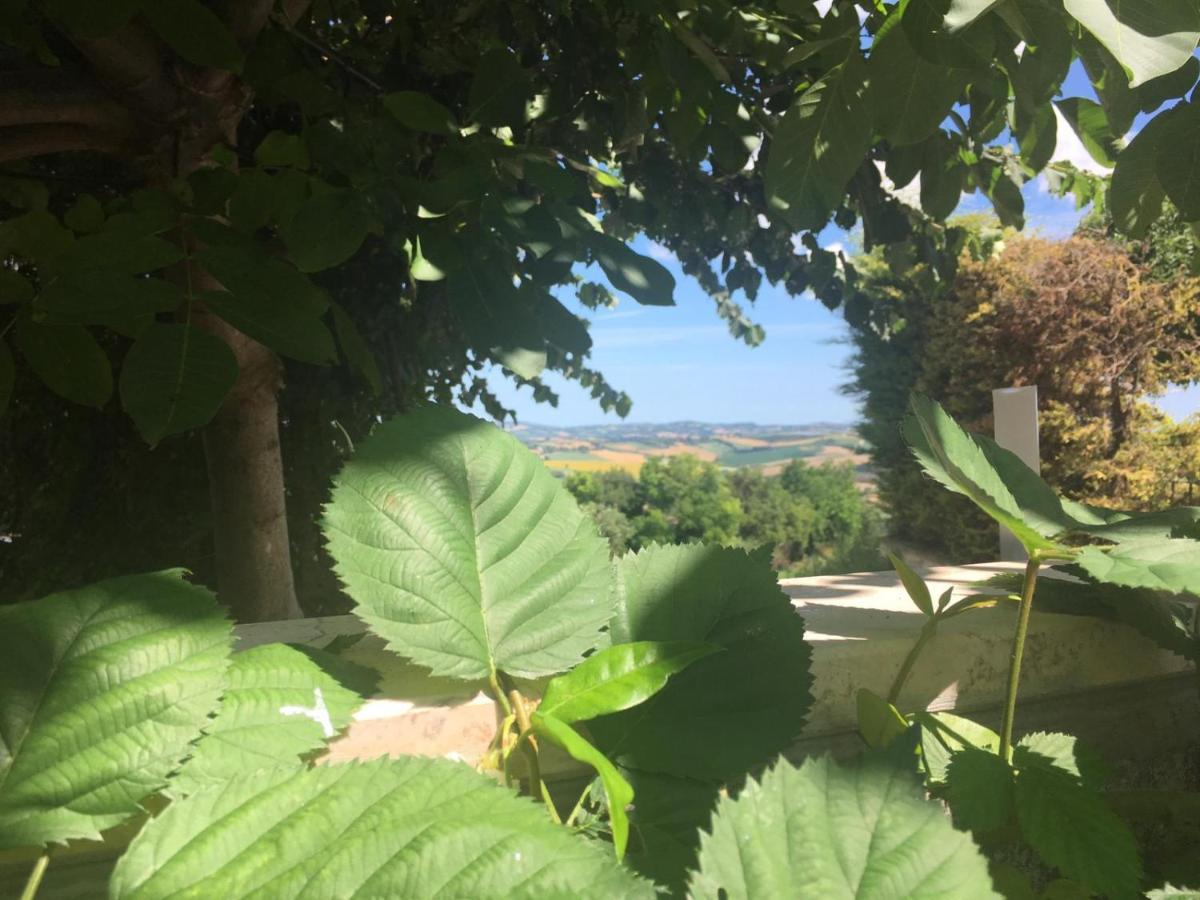 Eden Lilli B&B La Pieve  Exterior photo