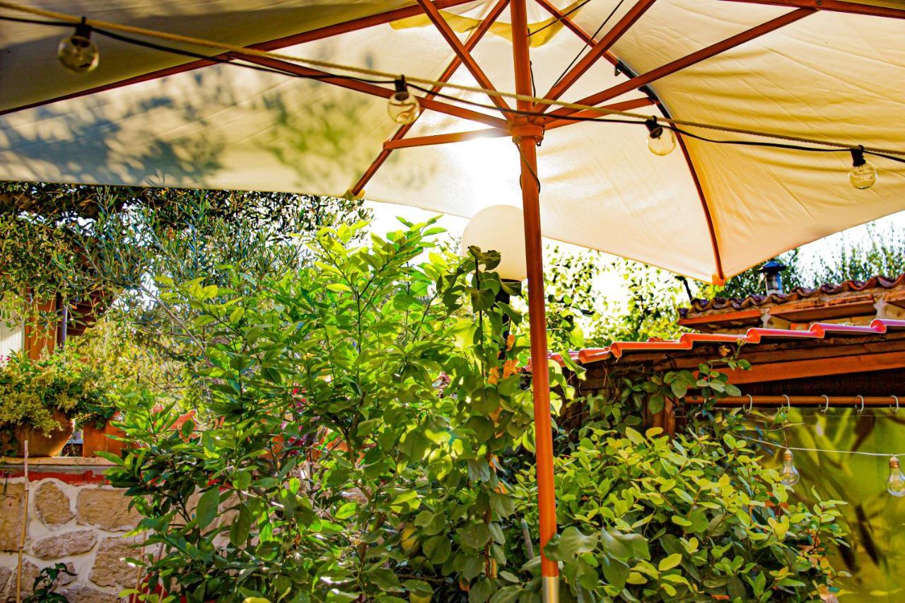 Eden Lilli B&B La Pieve  Exterior photo